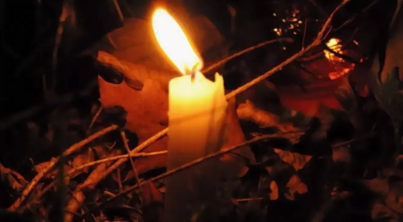 свеча в лесу
